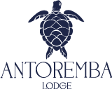 logo antoremba