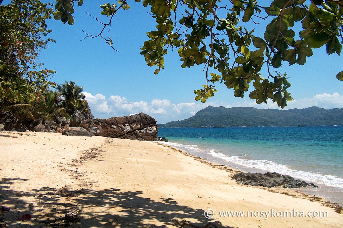 spiaggia con piroghe e alberi di cocco