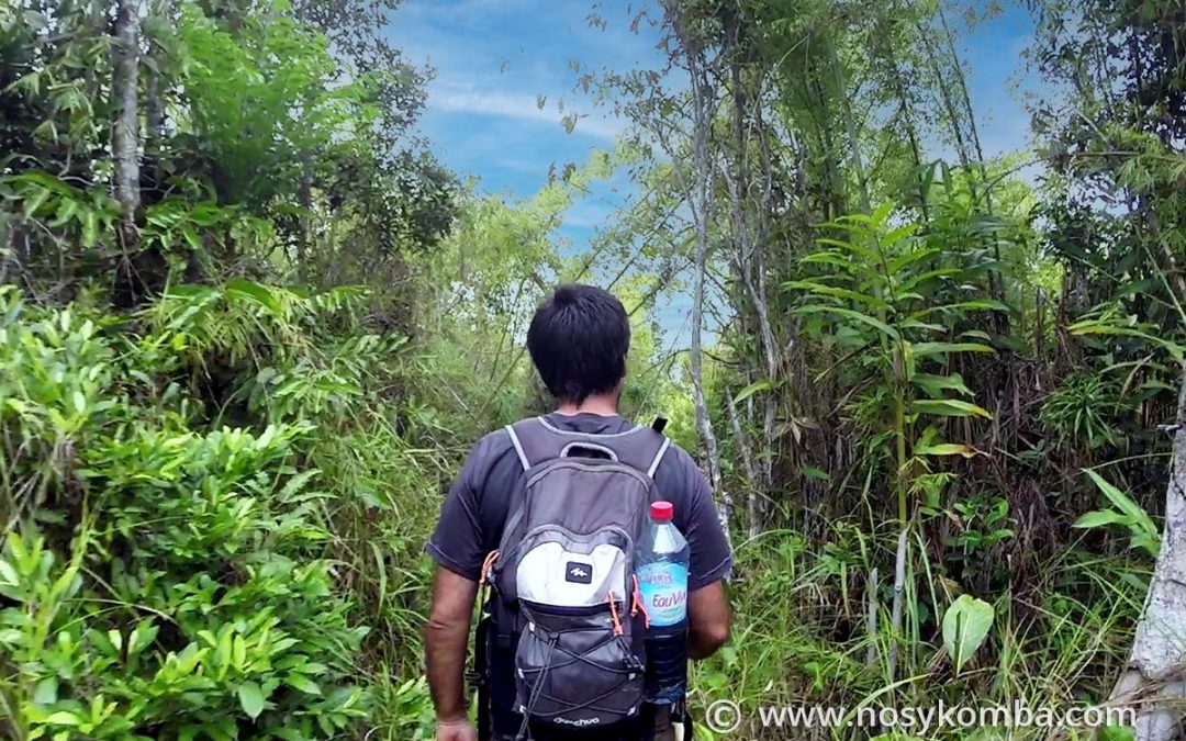 Randonnée et trekking