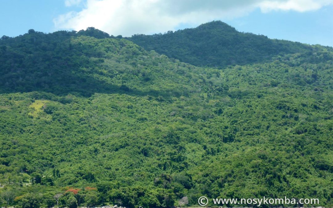 The top of the island